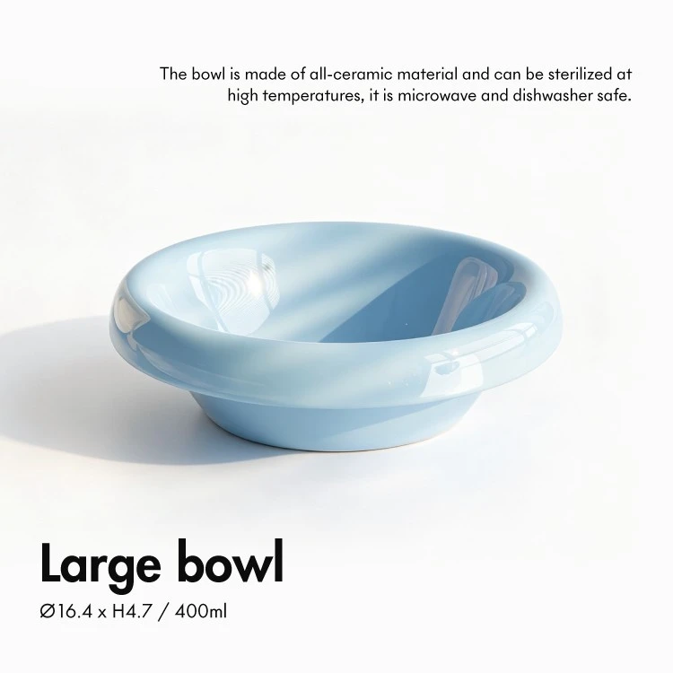 Cat Raised Feeding Bowls price